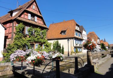 Tour Zu Fuß Weißenburg - Anneau rouge - Photo