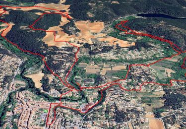 Trail Walking Carcès - SityTrail - Carces - Photo