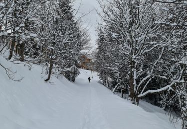 Randonnée Raquettes à neige Bourg-Saint-Maurice - Le Chantel Arcs 1800 - Photo