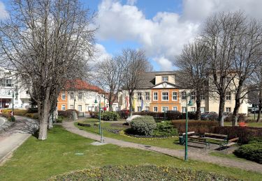 Tocht Te voet Gemeinde Sollenau - Fleischer Steiner Runde (Sollenau) - Photo