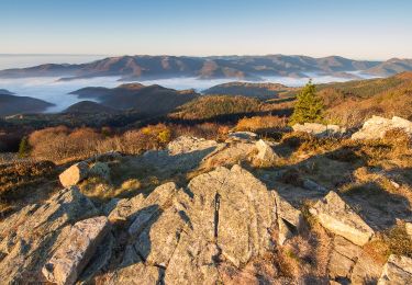 Tocht Stappen Guebwiller - Tour du Grand Ballon en 3 jours - Photo