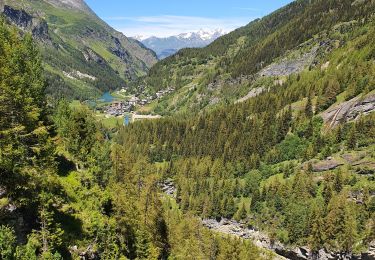 Randonnée Marche Tignes - Tignes Les Boisses - Nantcruet - Photo