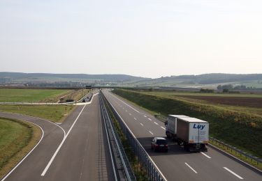 Percorso A piedi Kölleda - Geopfad Unstrut/Hohe Schrecke - Photo