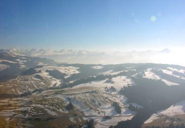 Percorso A piedi Hemberg - Rundweg H2 - Photo