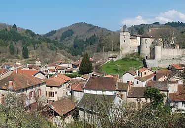 Trail Walking Châteldon - Chateldon_Bois_Noirs - Photo