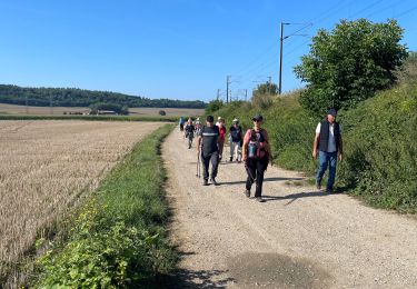 Randonnée Marche Nogentel - Arpsa Nogentel  - Photo