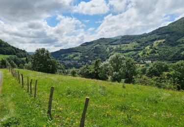 Randonnée Marche Saint-Jacques-des-Blats - St Jacques des Blats Font de Cere Super Lioran Les Gardes - Photo