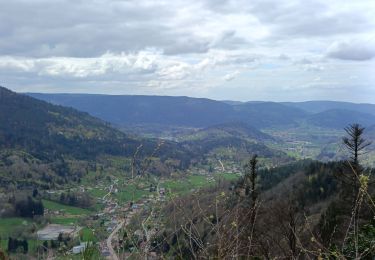 Randonnée Marche Sapois - circuit roche des ducs - Photo