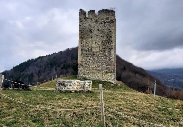 Tocht Stappen Froges - Froges-Montfallet-Champ près Froges - Photo