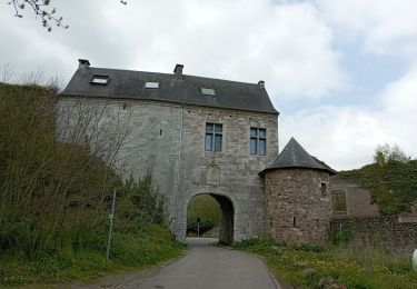 Tour Wandern Thuin - Aulne dans les bois - Photo