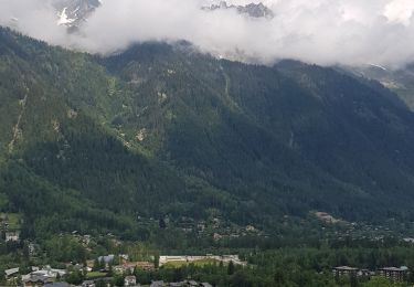 Excursión Senderismo Chamonix-Mont-Blanc - Chamonix départ parking du Biolay derrière cimetière  - Photo