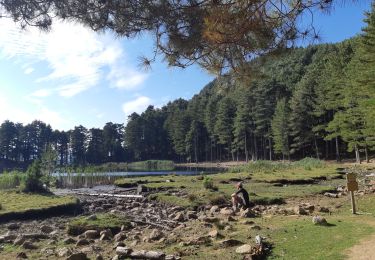 Tour Wandern Soccia - soccia nino manganu - Photo