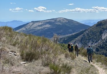 Trail Walking Séranon - Seranon <-> Caille - Photo