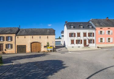 Excursión A pie Préizerdaul - Auto Pédestre Reimberg - Photo