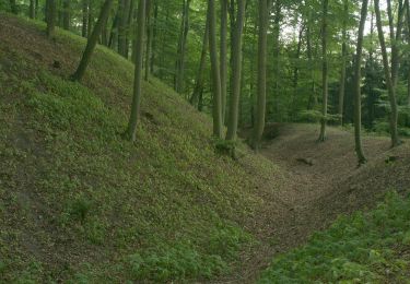 Randonnée A pied Ołobok - Krzeczkowo-Niesulice - Photo