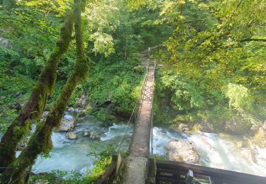 Trail Walking Tolmin - 2023-07-26 10_45_32 - Photo