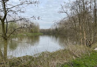 Percorso Marcia Nivelles - BE-Bornival - Bois d'En-Bas  - Ecluse 24 - Ancien canal - Photo