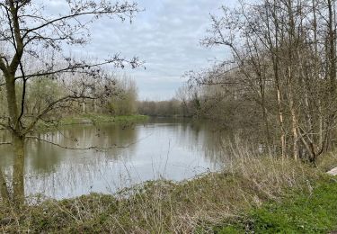 Tocht Stappen Nijvel - BE-Bornival - Bois d'En-Bas  - Ecluse 24 - Ancien canal - Photo