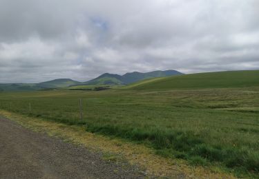 Trail Walking Murat-le-Quaire - banne d orache - Photo