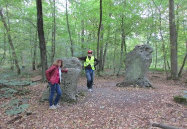 Randonnée V.T.C. Pont-Sainte-Maxence - halte menhirs d' iderolles - Photo