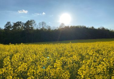 Tour Laufen Roucy - Running a doucy  - Photo