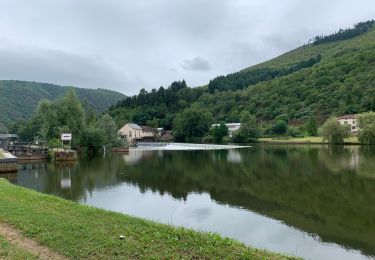 Tocht Mountainbike Saint-Parthem - Port d’agres/ Boisse Penchot / Montredon - Photo