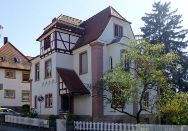 Trail On foot Heppenheim - Rundwanderweg Heppenheim 4: Maiberg-Weg - Photo