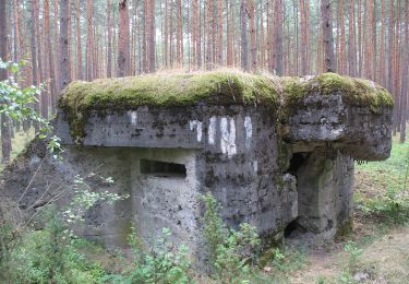 Trail On foot  - Szlak Osady Braci Czeskich - Photo