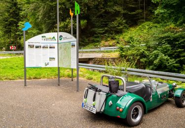 Tocht Te voet Oppenau - Rotenbachhof-Windschlagwald - Photo