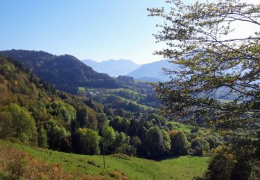 Trail On foot Onnion - Marche(74) - Onnion - Les Choseaux - Photo