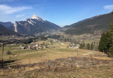 Tocht Stappen Saint-Pierre-de-Chartreuse - Boucle autour de saint Hugues - Photo