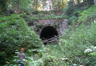 Excursión A pie Hückeswagen - Rund um Hückeswagen - Photo