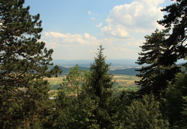 Trail On foot Gemeinde Hohe Wand - Teufelsgratparkplatz - Loderhof (Kapelle) - Einhornhöhle - Photo