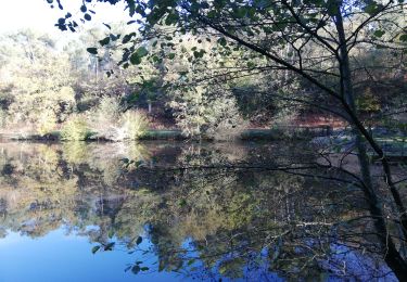 Tour Wandern Saint-Jacut-les-Pins - porté par l'eau et le vent  - Photo