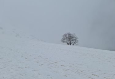 Trail Nordic walking Aragnouet - Piau-Engaly: Petite boucle du Lac - Photo