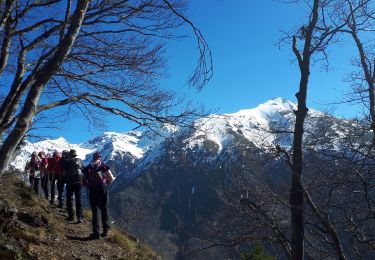 Tocht Stappen La Valette - La cabane de Poyet en circuit - Photo