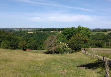 Tocht Stappen Chaudfontaine - Beaufays - Photo