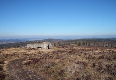 Trail On foot Zaječov - [Z] Dolní Kvaň - Dlouhý vrch - Photo