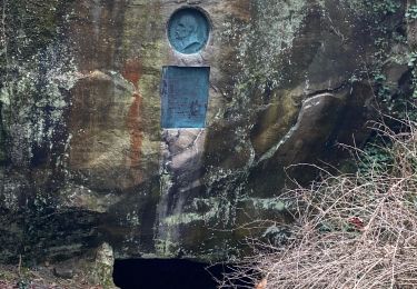 Excursión Senderismo Fontainebleau - Sentier Denecourt n2 - Photo