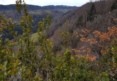 Randonnée Marche Bellignat - Nierme: Belvedere du Haut Cret - Photo