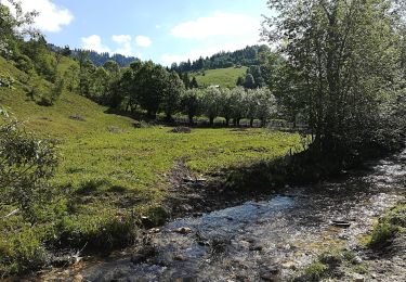 Tocht Te voet Onbekend - Podu Dâmboviței - Valea Rudăriței -Fundățica - Photo