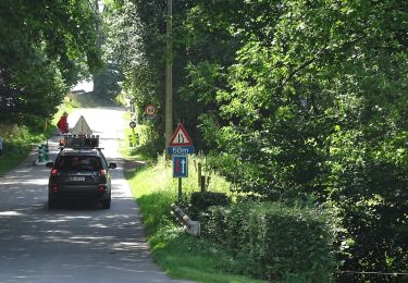 Percorso A piedi Stavelot - 25. Le Roannay - Photo