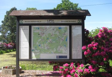 Tour Zu Fuß Hermsdorf - Rundweg Hermsdorf - Photo