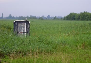 Tocht Te voet Steenwijkerland - WNW WaterReijk - Paaslo - blauwe route - Photo