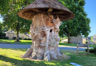 Trail Walking Meix-devant-Virton - Gerouville 060723 - Photo