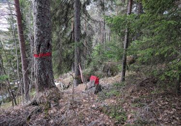 Excursión A pie  - Kongeveien gjennom Lunner - Photo