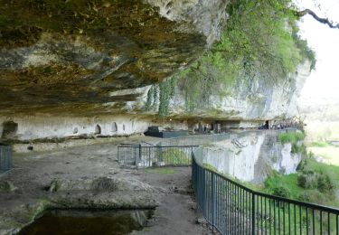 Randonnée Vélo électrique Tursac - Boucle Tursac la Vézère - Photo