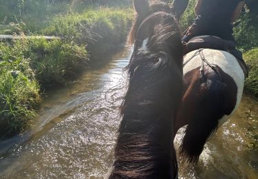 Tour Reiten Hiriberri/Villanueva de Aezkoa - Hichiberri - Burguete/Auritze - Photo