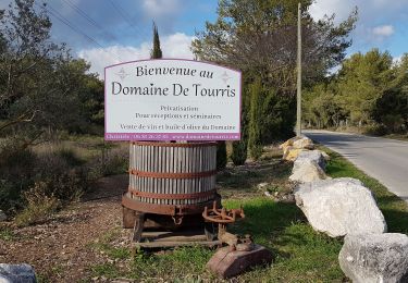 Excursión Senderismo Le Revest-les-Eaux - tourris revest - Photo