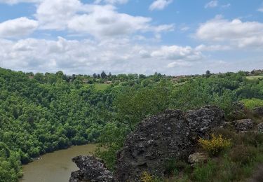 Trail Walking Pampelonne - Pampelonne  - Photo